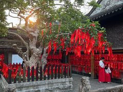 -中山詹园