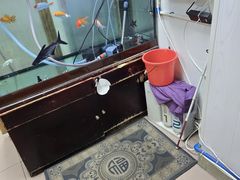 -叶氏水木堂盲人医疗按摩所