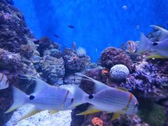 -成都浩海立方海洋公园