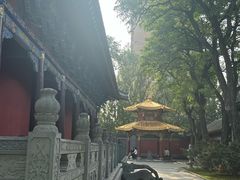 -护国法轮寺