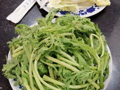 茼蒿-洪运轩饭庄(北纬路店)