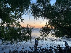 -宝安西湾红树林湿地公园