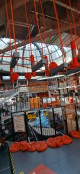 -嗨翻Hi-Fun竞技主题乐园·蹦床团建生日聚会(五棵松华熙店)