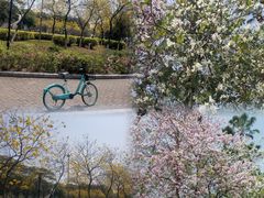 -广州市白云山风景名胜区