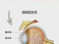 -宝视达眼镜(泌阳店)