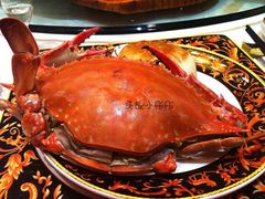 飞蟹-万宝海鲜舫(劳动公园店)