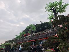 -枇杷园食为鲜火锅(南山店)
