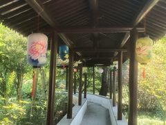 -上海醉白池公园