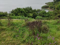 -苏州太湖国家湿地公园