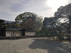 -醍醐寺