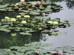 -国家植物园南园