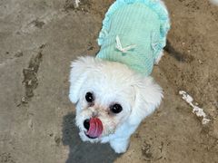 -HALO SOUL COFFEE·咖啡·甜品·简餐(嘉年华海信广场店)