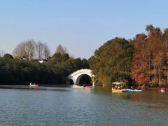 -上海海湾国家森林公园