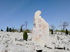 -原山国家森林公园