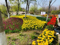 -杭州湾海上花田景区