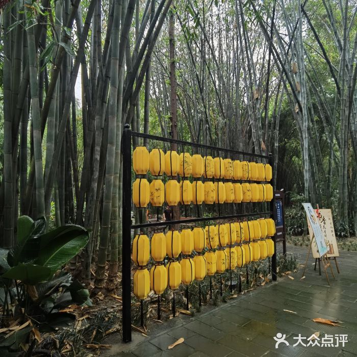 望江楼公园图片