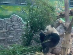 -黔灵山公园