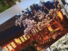 -北京鹫峰国家森林公园