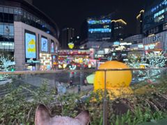 -龙湖重庆时代天街