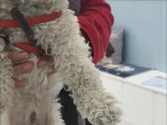 -纳吉亚猫专科动物诊疗中心(蒋宅口分院)