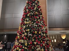 -上海嘉定喜来登酒店