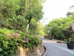 -杭州半山国家森林公园