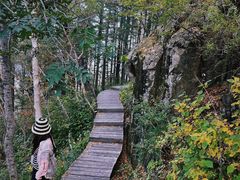 -白草畔自然风景区