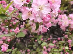 -城市运动公园(未央区)