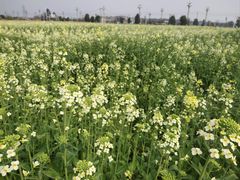 -中国天府农业博览园