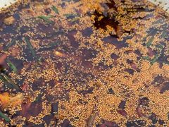 -胖子鱼·天水麻辣鱼火锅(秦州407店)