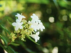 -Beans Solo豆号咖啡(百家湖花园店)