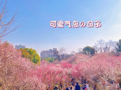 -南京古林公园