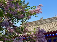 -西安市广仁寺