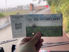 -北海金海湾红树林生态旅游区