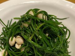 -老阿妈蒙古村·蒙古包·草原文化·歌舞表演(老君堂店)