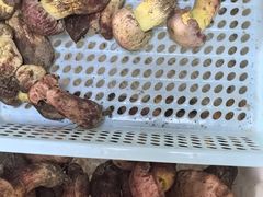 -双喜农庄·菌香园(安居家园店)