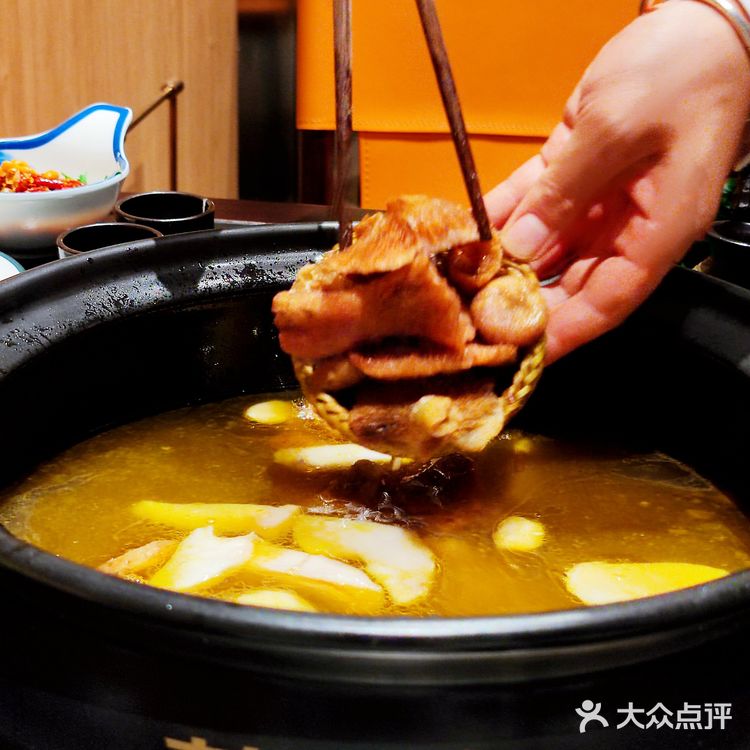 🍄野生菌的味觉奇迹！真的让你不敢相信这味道来自大自然🌲