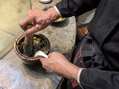 -贺庄·活鱼馆(珠吉路店)