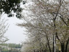 -华中农业大学-荟园餐厅