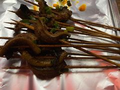 鳝鱼-晓靖轩烧烤(沙河风情店)
