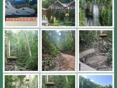 -西双版纳原始森林公园