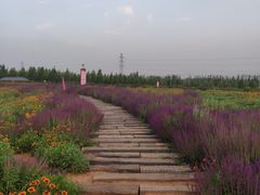 -君乐宝优致牧场