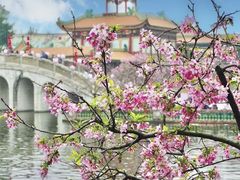 -宝墨园景区