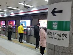 -大望路(地铁站)