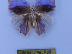 -东莞市科学技术博物馆