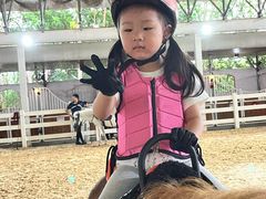 -名驭国际马术学院