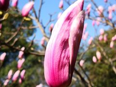 -白塘生态植物园