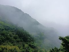 -东白山