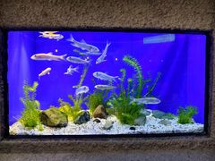 -上海海洋水族馆