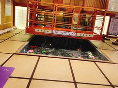 -汤泉良子(金源店)